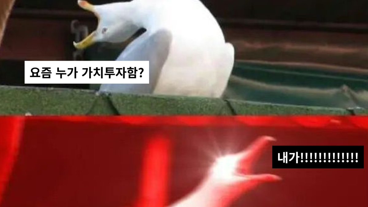 fnmedia_books's tweet photo. [가치투자하는 사람이라면 공감할 투자 짤. zip] 

오르면 사야 하나, 떨어지면 팔아야 하나...
안절부절 뇌동매매 굴레에서 벗어나지 못할 때
투자서 읽으며 평온을 유지하는 맑눈광이 바로 접니다.  
-홍보 담당자 J- 

2026년은 제 운세대로 갑니다. 가치투자는 승리한다!

🎁 팔로우+RT이벤트
현명한 투자자의 길, 탑승하실 분? 🧐
5명을 추첨해 '버핏클럽' 1개월 이용권을 드립니다!
🔗 https://t.co/R16qWJ03zF

✅ 참여방법
1️⃣ @에프엔미디어 (@fnmedia_books) 팔로우
2️⃣ 이 게시글 RT(리트윗)

📅 당첨자 발표: 2026년 3월 9일