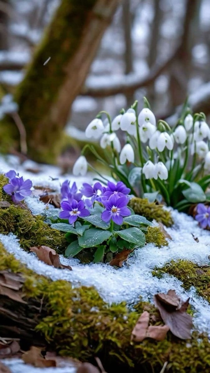 Daily Word: There hath no temptation taken you but such as is common to man: but God is faithful, who will not suffer you to be tempted above that ye are able; but will with the temptation also make a way to escape, that ye may be able to bear it.
1 Corinthians 10: 13