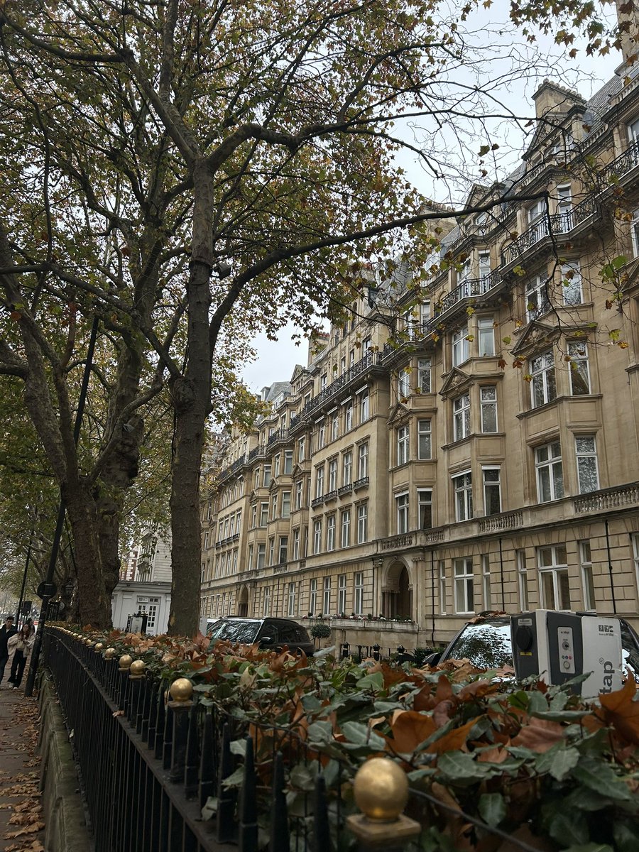 Katarina Ore tweet media