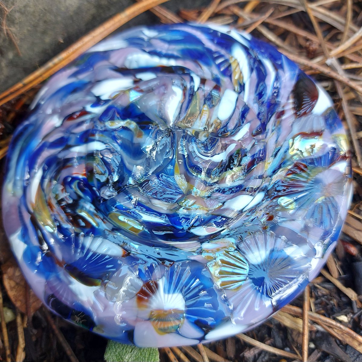 Kat Frankly ✨ tweet media