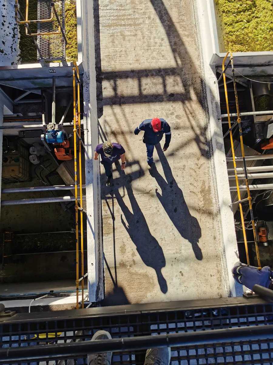 Namaqua West Coast tweet media