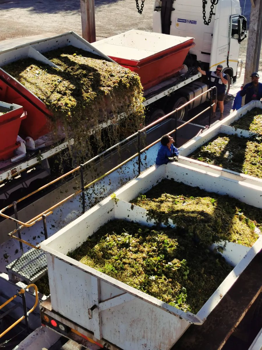 Namaqua West Coast tweet media