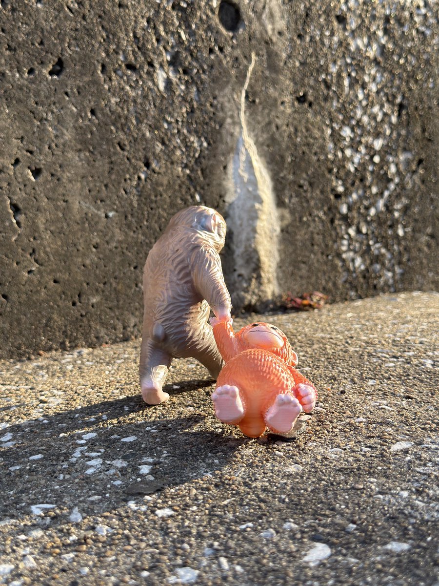 フィグリー tweet media