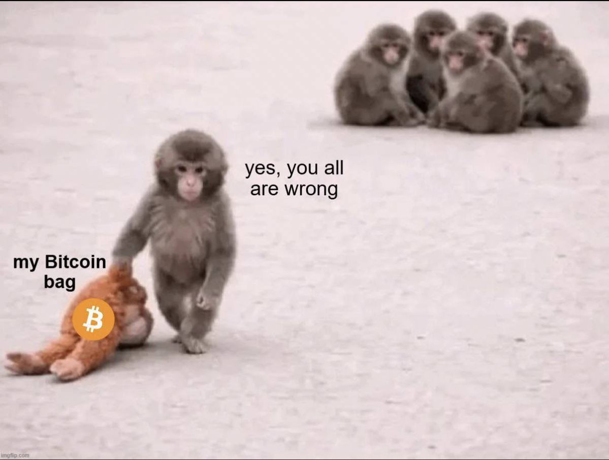 POV: Me defending my BTC bags during every dip.

Later the same people will say i got lucky in crypto 🫣