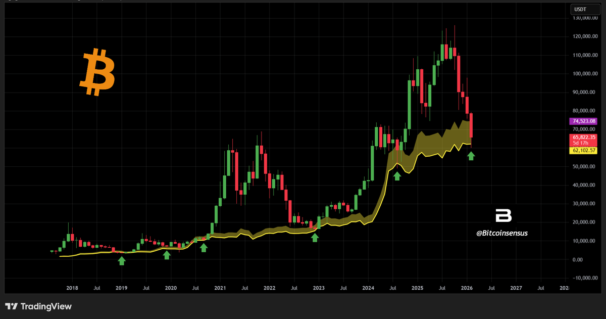 Bitcoinsensus's tweet photo. $BTC is currently sitting at the cost of production band. 🔥

This is where it usually finds macro bottoms, according to past cycles. 📈

No past price action guarantees any future outcome. (NFA) https://t.co/SwOqqUXyb6