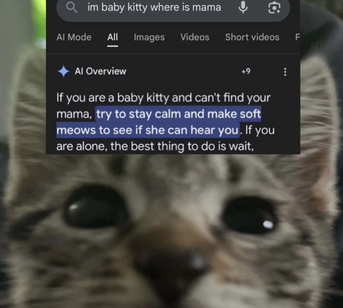 Respectful Memes tweet media