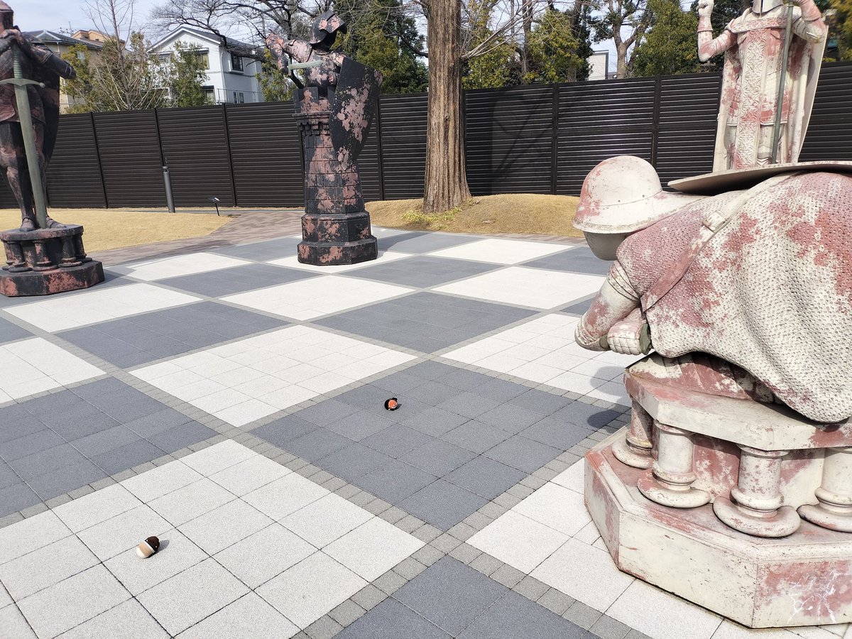 kibunya_0's tweet photo. チェスゲームバトルしてるダとチュ https://t.co/RTNEZNqbAr