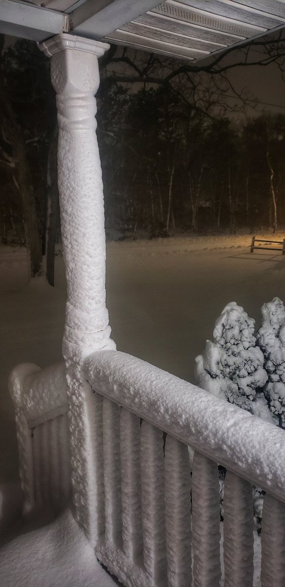 Sapo Man Photography 😃 tweet media