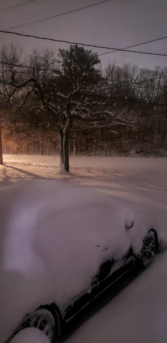 Sapo Man Photography 😃 tweet media