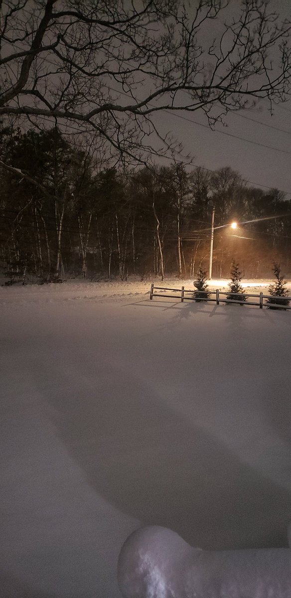 Sapo Man Photography 😃 tweet media