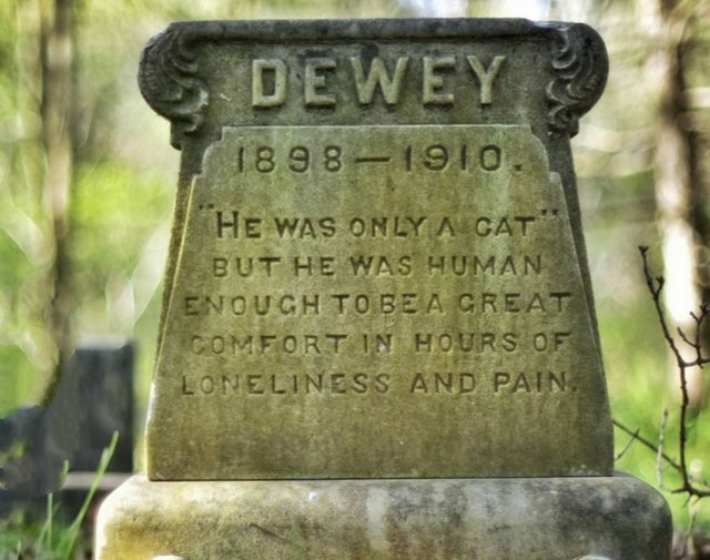 The love transcends time.