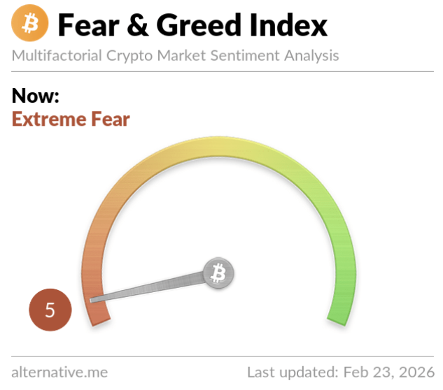 sunnydecree tweet media