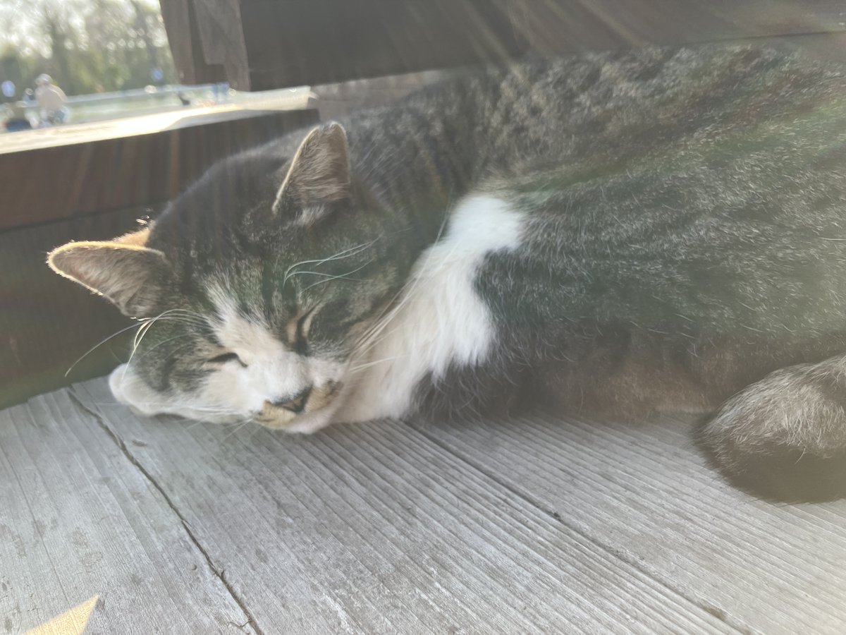 ○以下案内詳細はHP内の過去お知らせをご確認ください。 ・朝の受付