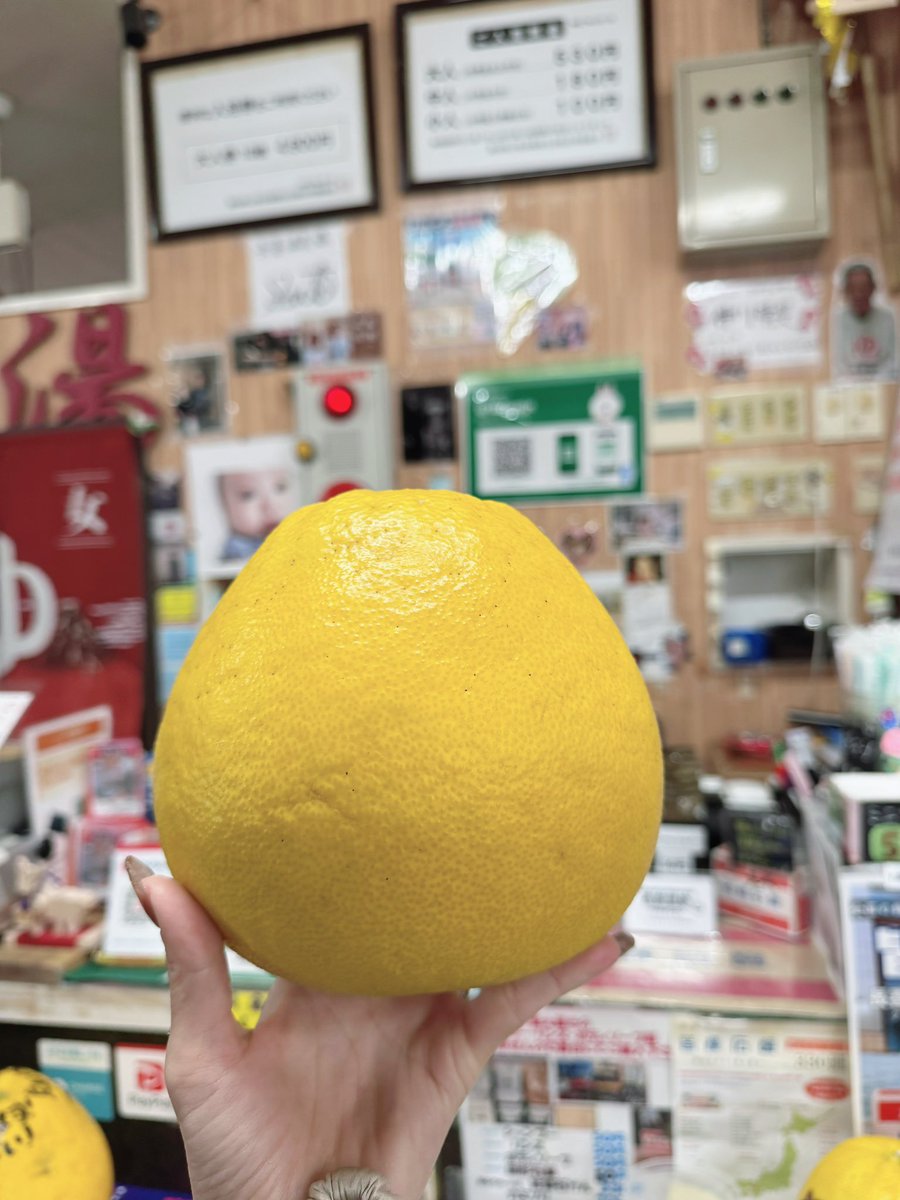 本日もゴロゴロ入れてます🍊🍊🍊

♨️ 120度サウナ11度水風呂！天然地下水薪沸かしの銭湯♨️
♨️長喜温泉
♨️愛知県名古屋市北区長喜町2-18
♨️営業時間14:00-22:00
♨️火曜定休
♨️大人530円/サウナ+100円

#長喜温泉 #銭湯 #サウナ #水風呂 #１２０度サウナ #サ活 #ボンタン湯