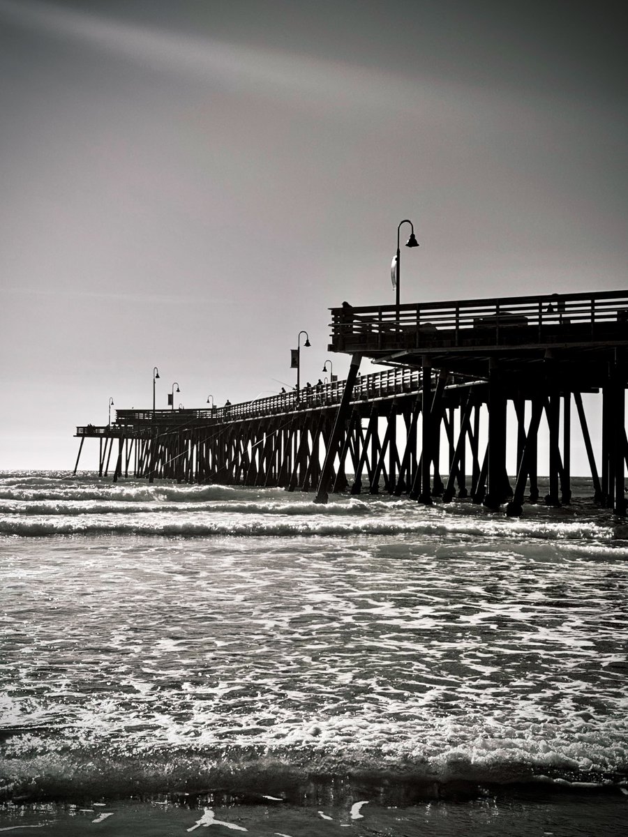 WildDevice's tweet image. A good day at the beach 
Fishing from the pier 

#photography #blackandwhite #NatureBeauty