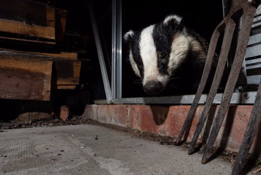 Richard Bowler tweet media