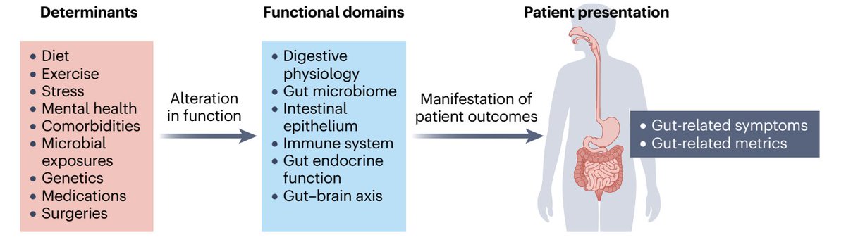 KewinSiah's tweet photo. ISAPP consensus (https://t.co/NP9ZfuaVWw) defines #GUTHEALTH as: 👉 “Normal GI function without active GI disease and without gut-related symptoms that impair QOL.”
#Gitweeter https://t.co/UhvVB4zUbk