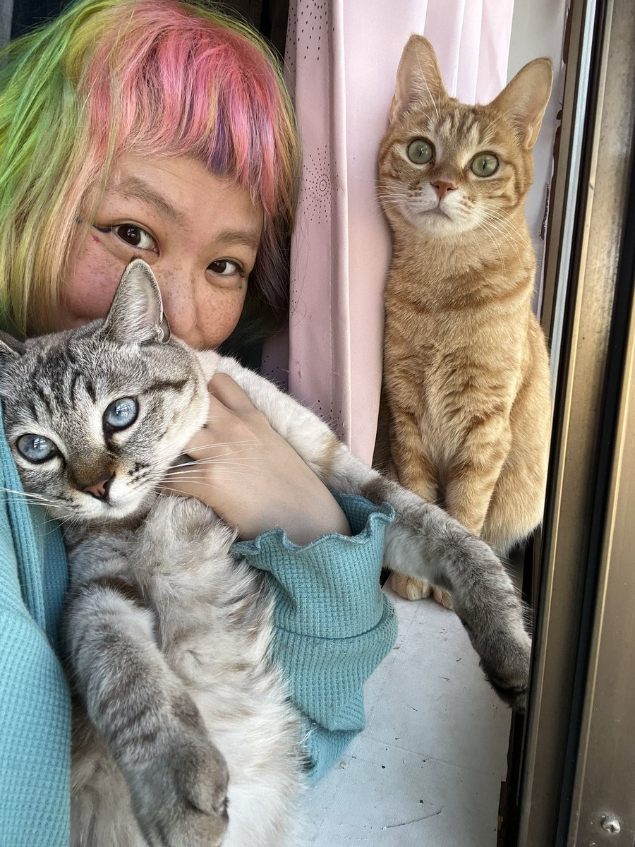 ヨシダチャンネル (@yoshidabi_zu) / Posts / X