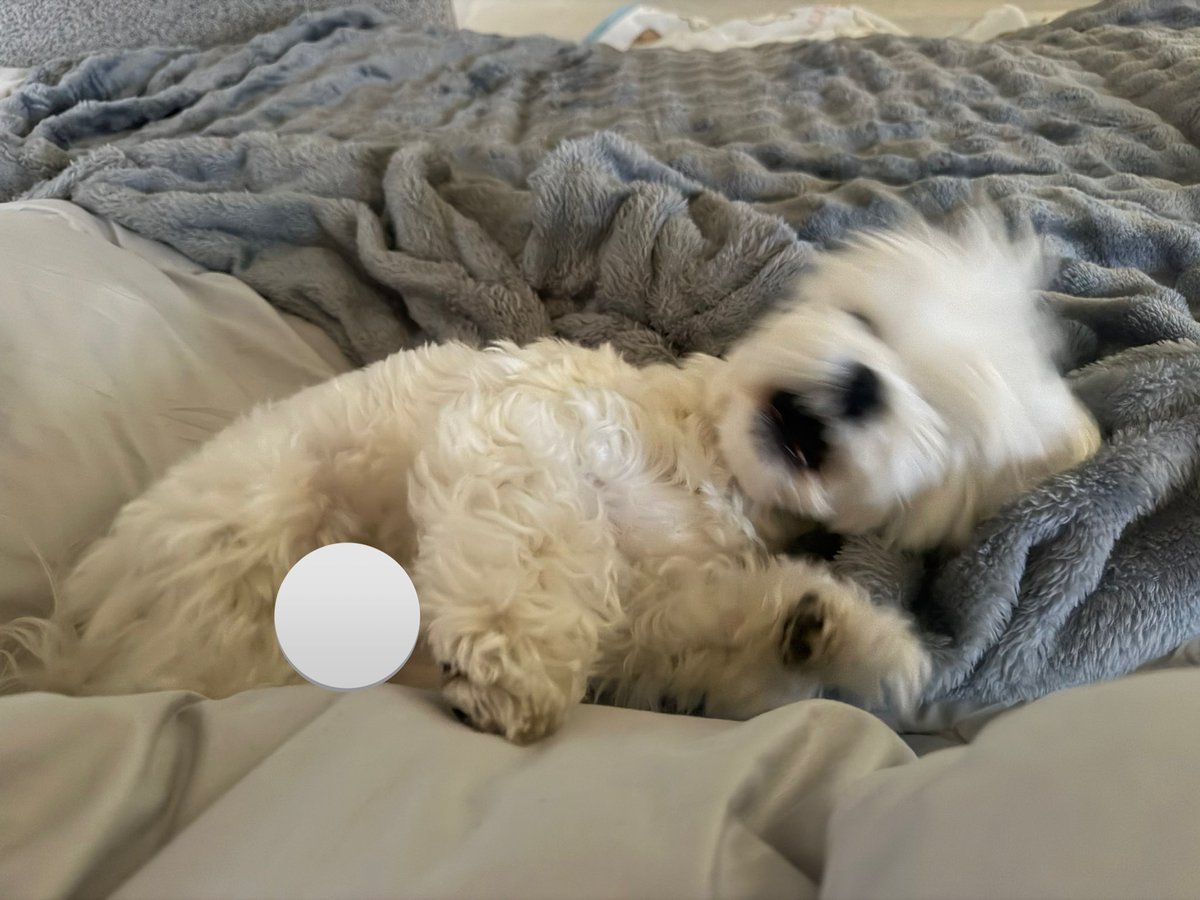 あ〜〜！三連休が終わる〜！！！！