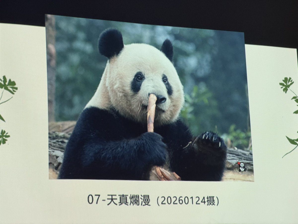 シャンちゃんLOVE (@marineb17001759) / Posts / X