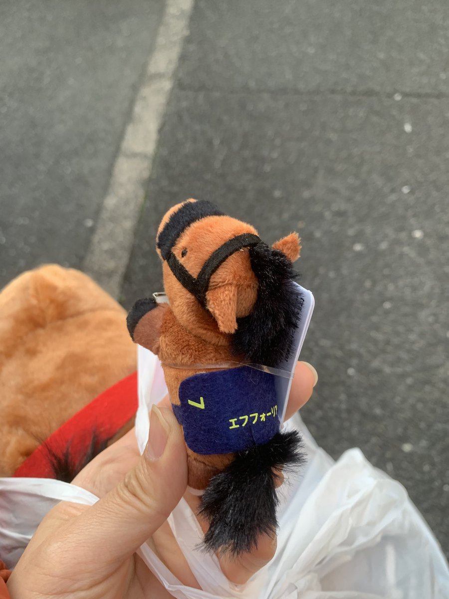 エフフォーリアのヘアクリップかわいいーー🩷