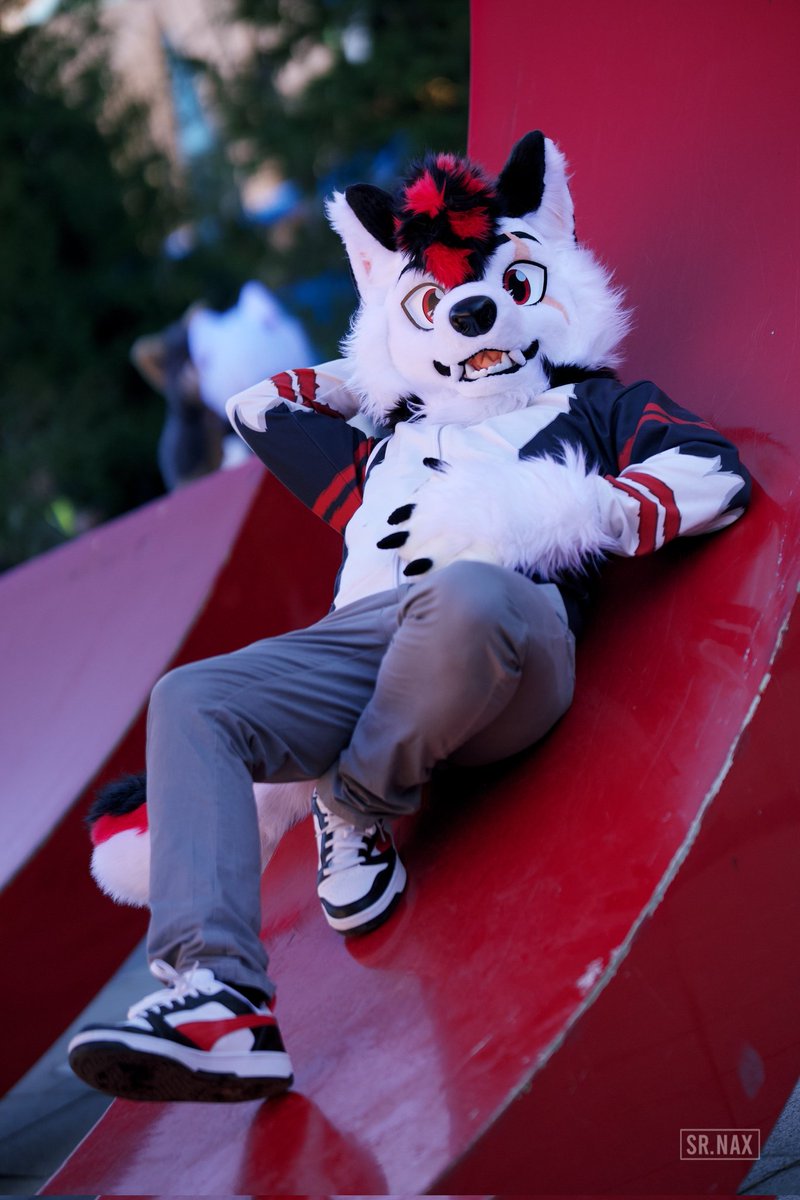 Denyern 狼 🐺 🔜 Ibercon tweet media