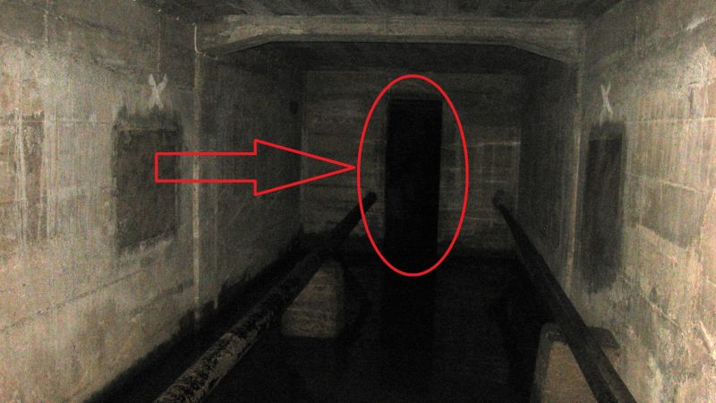 Digital Raven tweet media