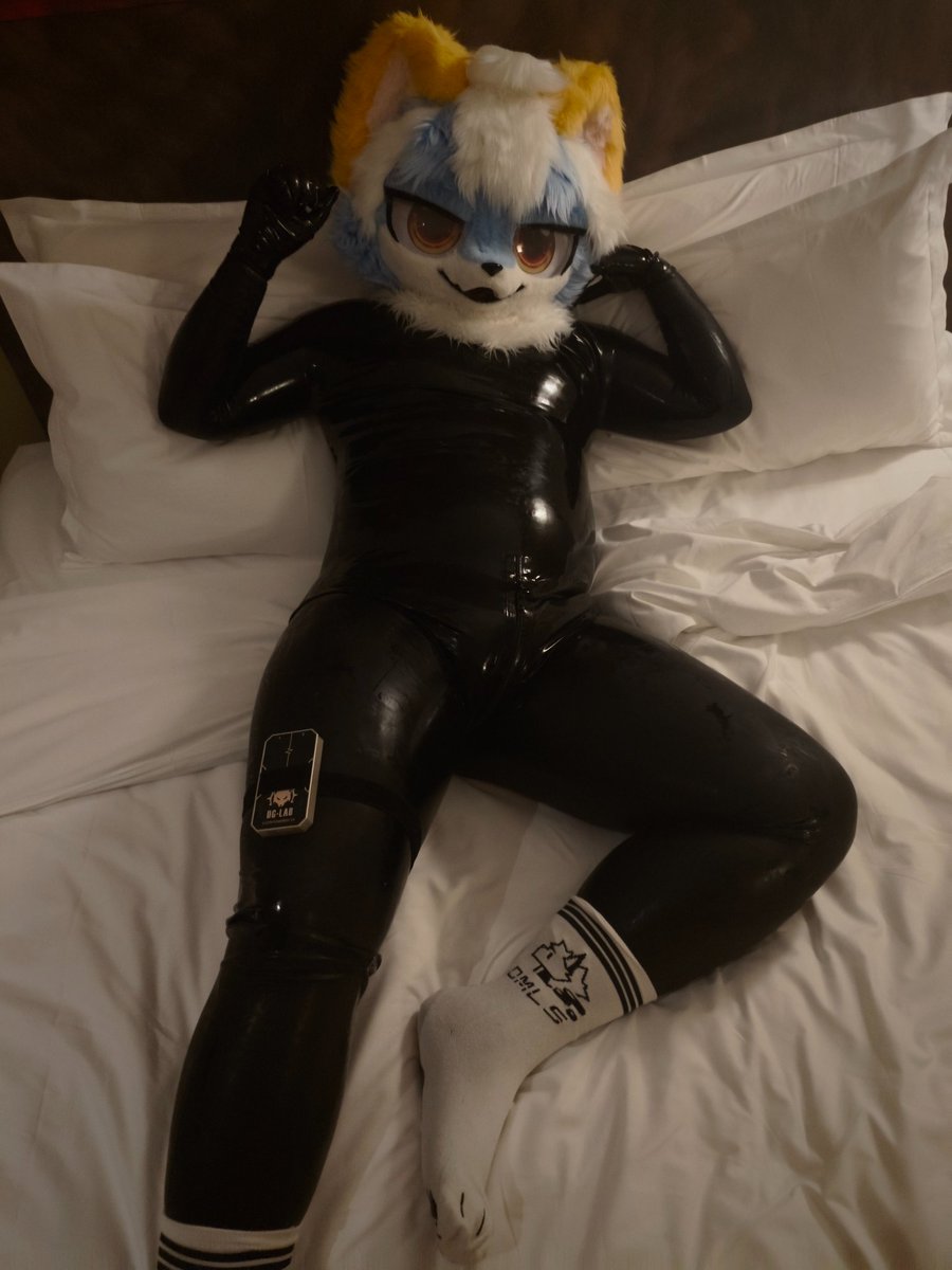 lucky/苓枫 tweet media