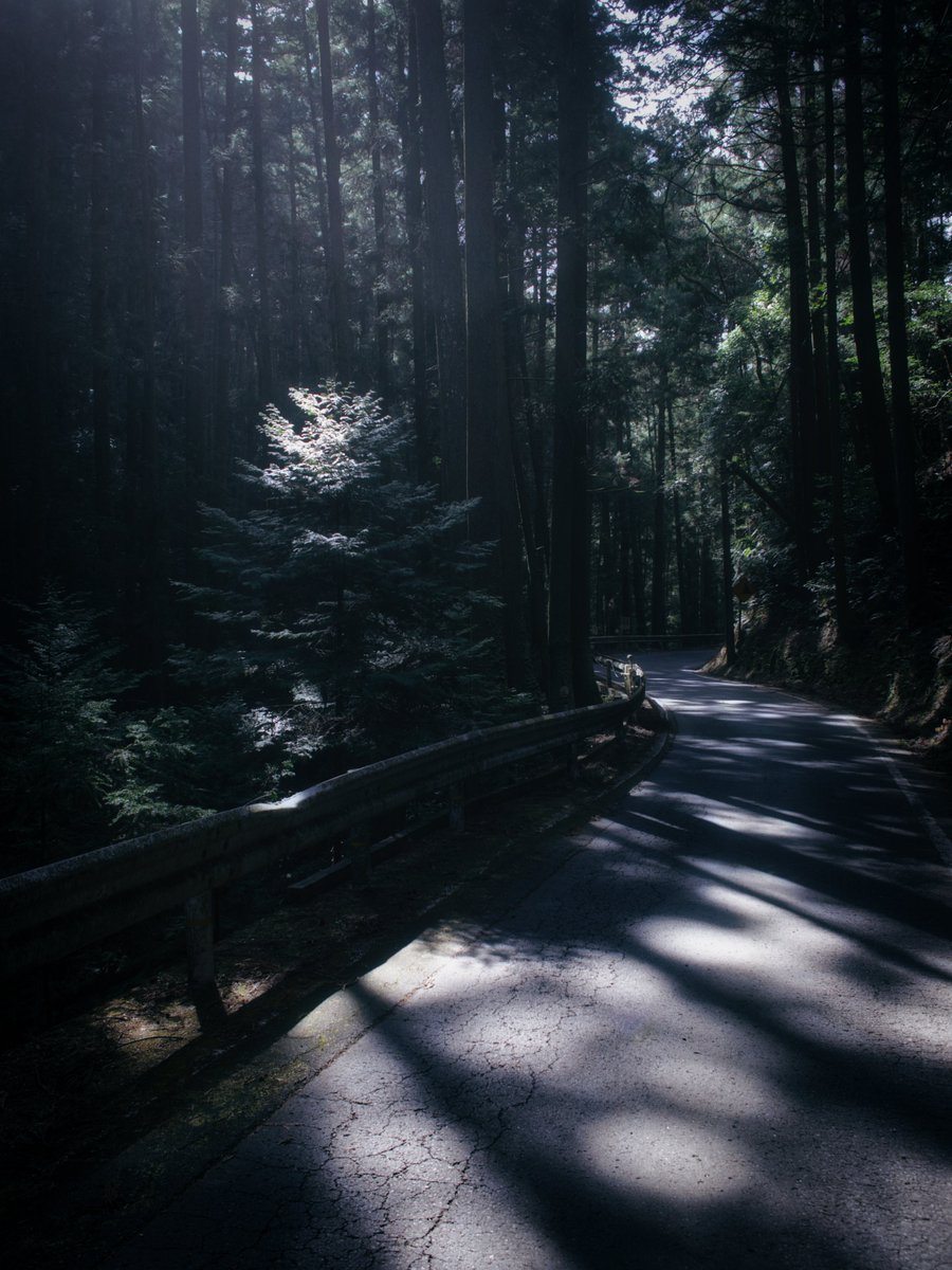 PaPaPhoto (@papa881photo) / Posts / X