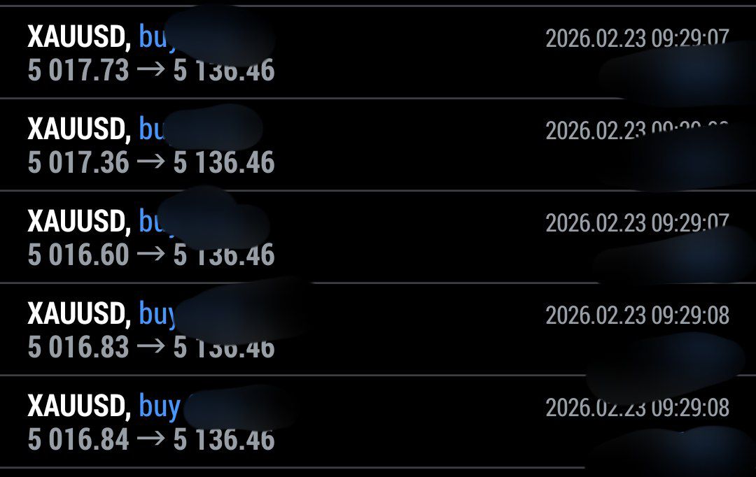 ThunderTrader tweet media