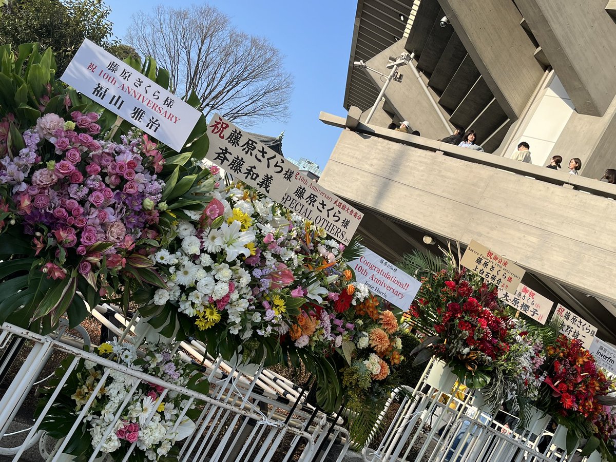 今日の推し事の現場✨ #藤原さくら 10th Anniversary武道館大音楽会