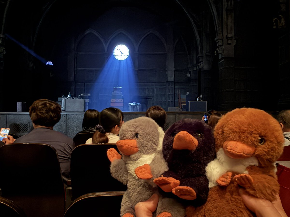 呪いの子見てきたー！今日のスコーピウスの人めちゃくちゃ良かったしダンブルドアの市村さんがカテコで手拍子しながら出てきたのめちゃくちゃ可愛かった