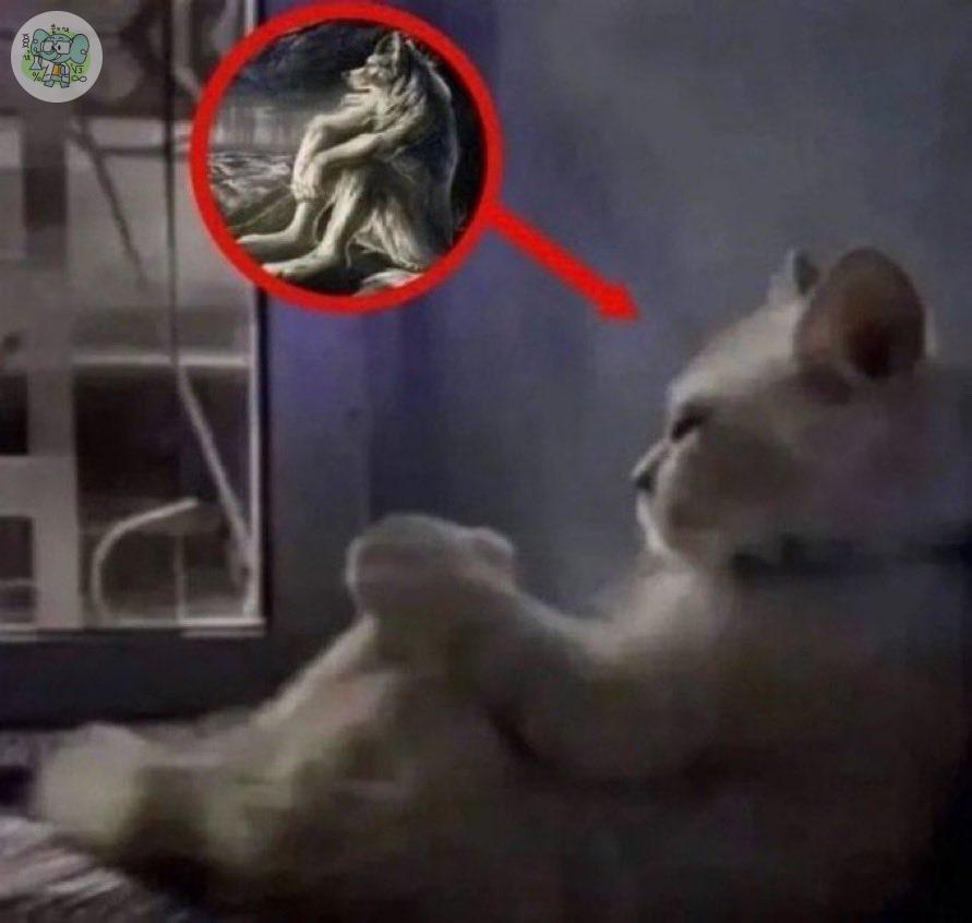 sch! Dari awal masuk SMA, JP dikurangi banyak karena Project P5, pas kelas 12 dikasih TKA yg kegunaannya ambigu. Pengumuman snpmb, daya tampung dipotong banyak. Bisa gasih “rencana pemerintah” sekali aja gak ngancurin rencana siswa? obat gangguan mental kita dikasih MBG