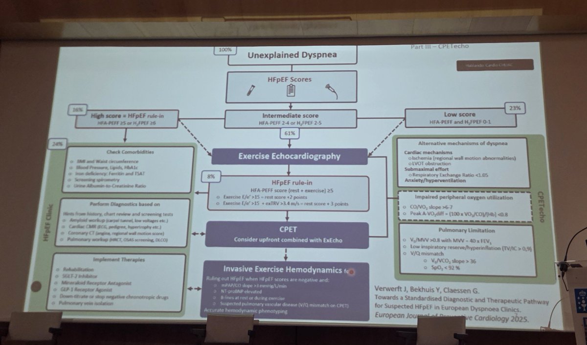 rafavidalperez tweet media