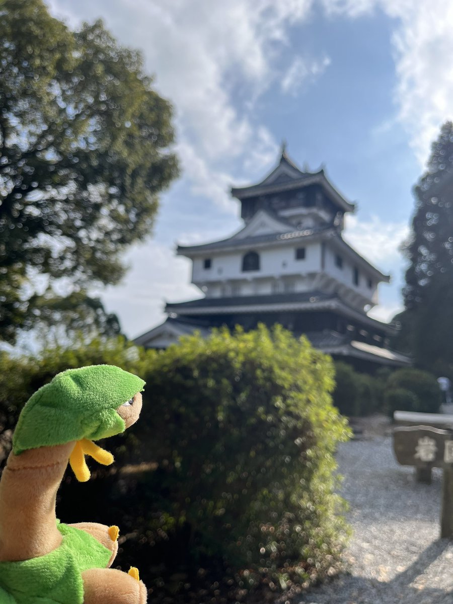 お散歩好きのトロピウス tweet media