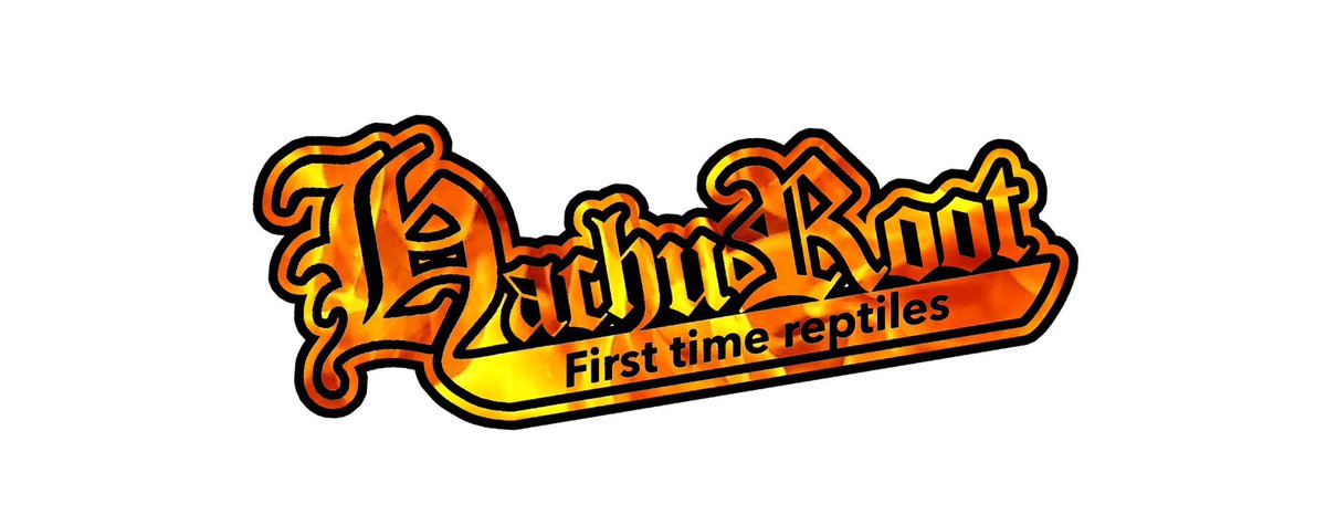 はちゅるーと tweet media