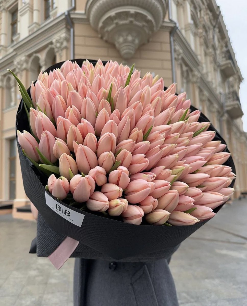 natureorearth's tweet image. pink tulips or white? 🤍🩷