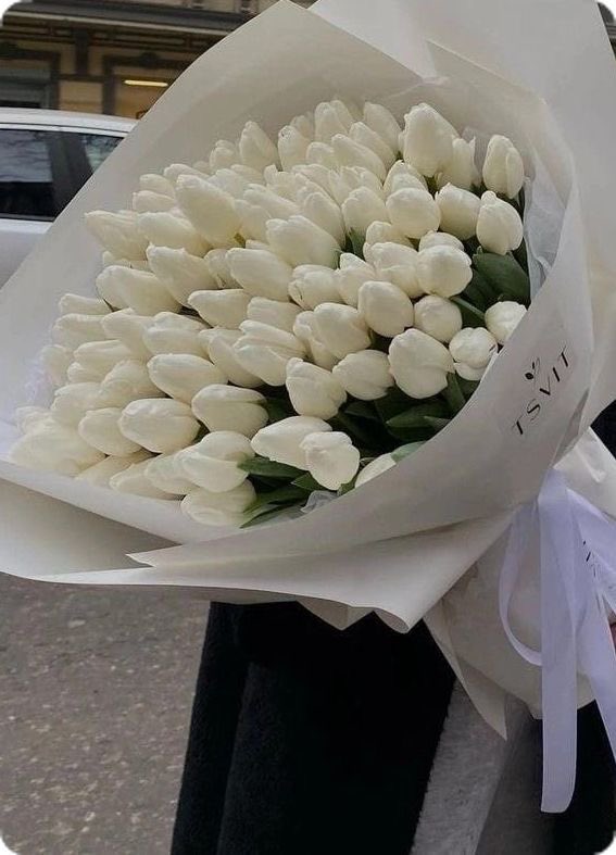 natureorearth's tweet image. pink tulips or white? 🤍🩷