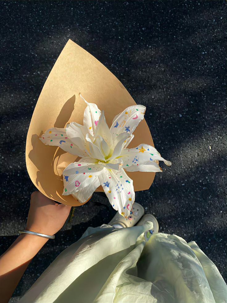 World Click (@worldclick56) on Twitter photo 