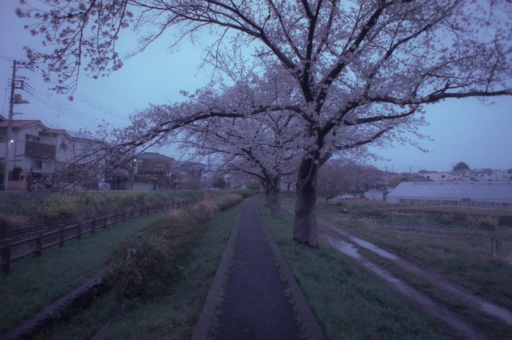 what does pinterest think of you?

aura
color
album
scenery
q cring chau