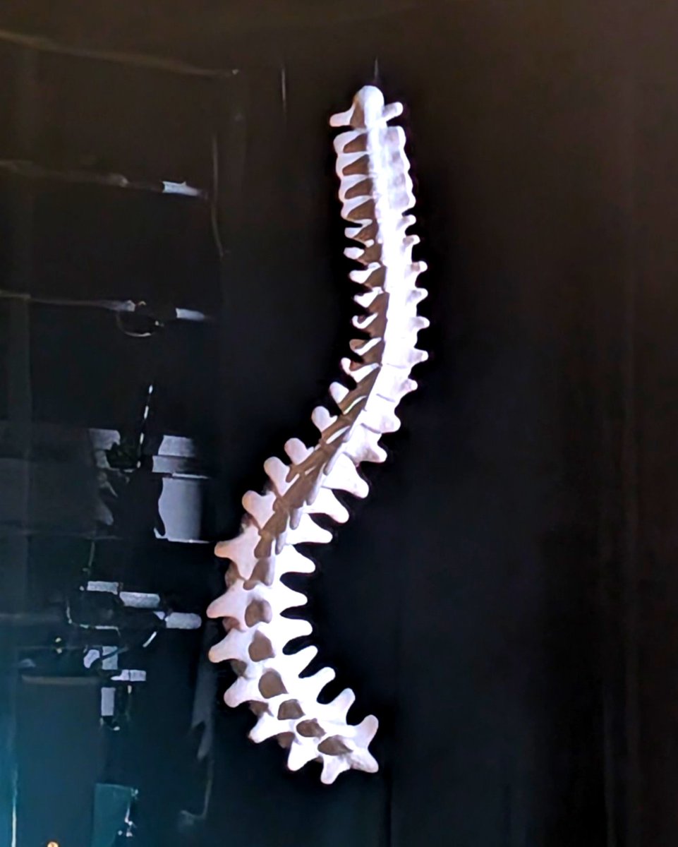 Kuri.(栗棟 一惠子) tweet media