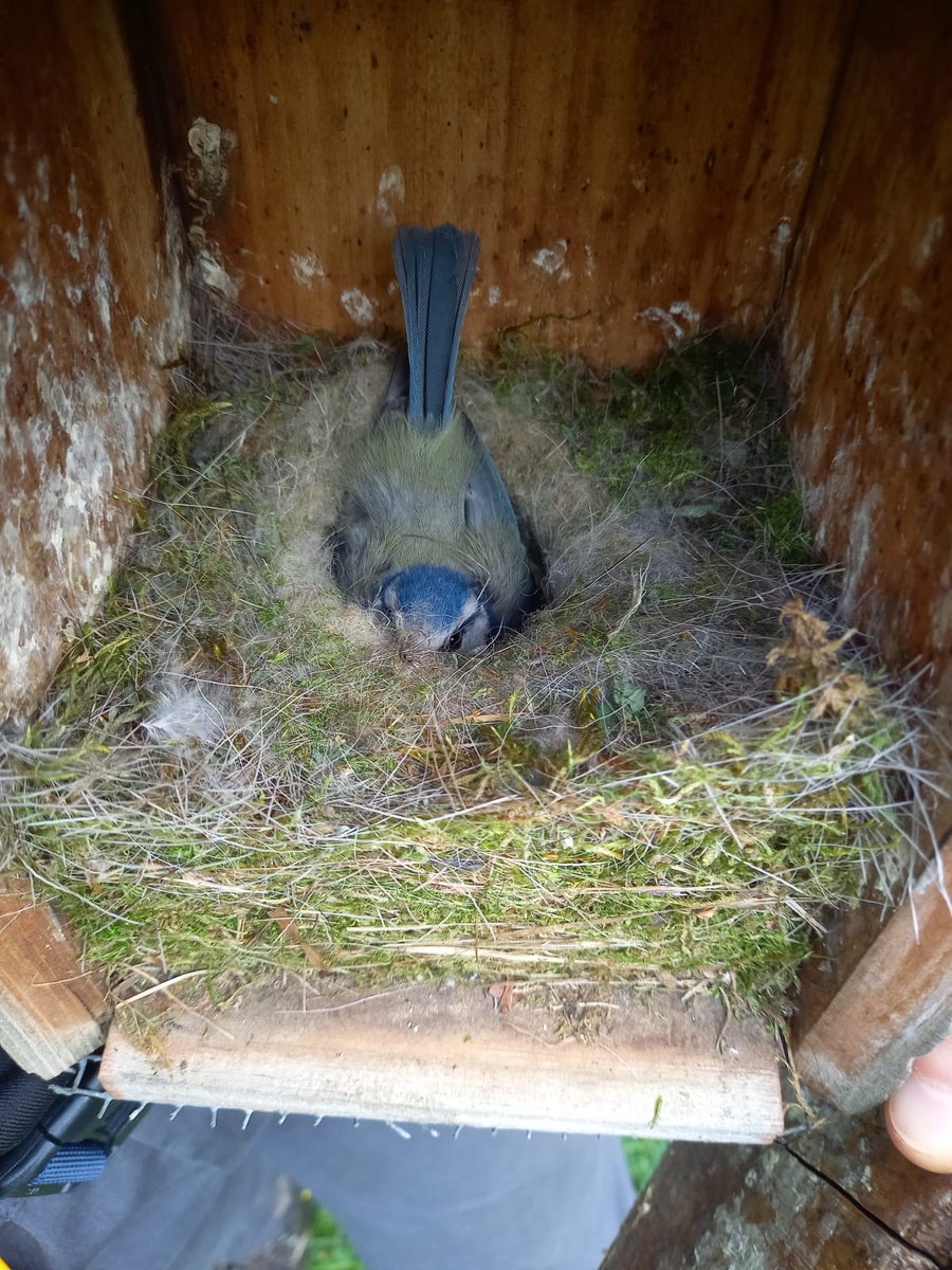 Alejandro Cantarero tweet media