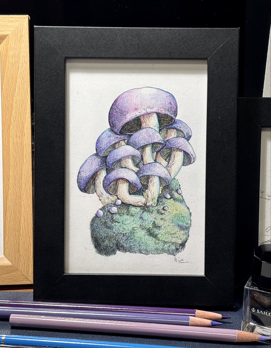 微かに毒☠️🍄
やっぱり紫系が好きらしい
オレンジとか挑戦したいけど勇気が:( ;´꒳`;)

 #ペン画 #色鉛筆 #原画 #きのこ