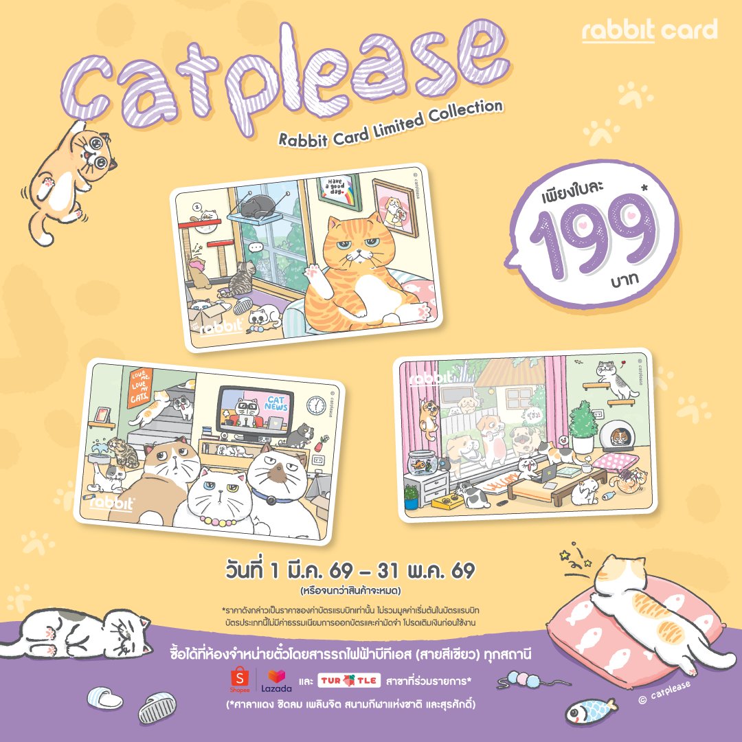 Rabbit Card tweet media