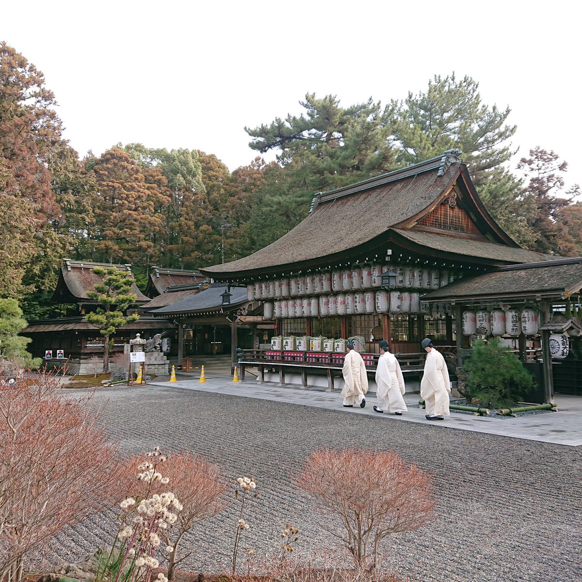 takebetaisha's tweet photo. 【天長祭】
２月２３日午前９時より天長祭を執り行い、天皇陛下のお誕生日をお祝いし、これからも続く悠久の平安を祈念いたしました。
#建部大社 #天長祭 #天皇誕生日 https://t.co/0TvinF3gc8