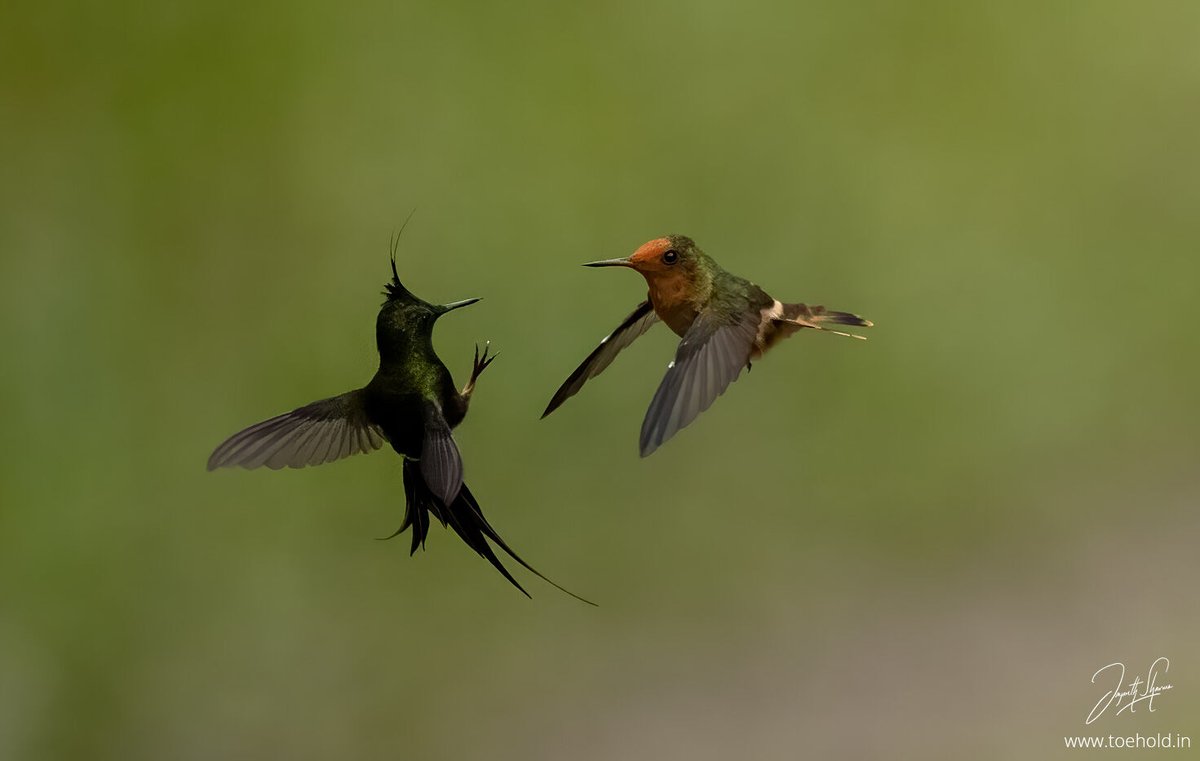 Jayanth Sharma tweet media