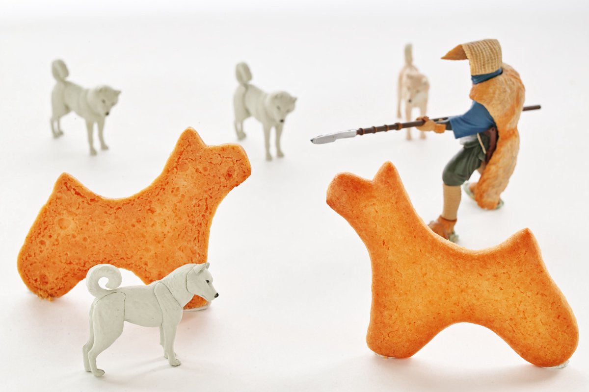 かっぱの庵 (@kappa3261) / Posts / X