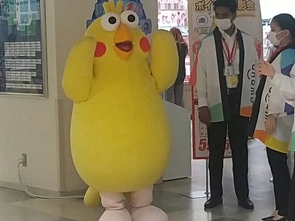 ポインコと山歩き🐥🐥🐾 (@paopaopanda_jp) / Posts / X