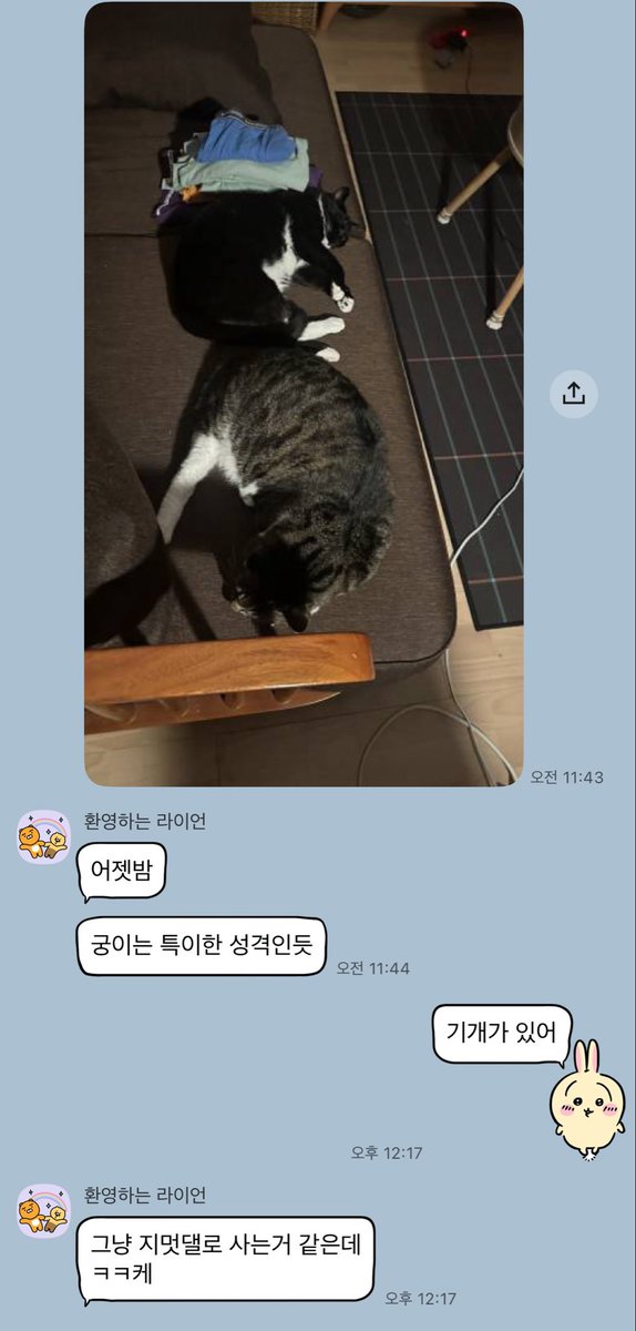 가족찾는 궁이🖤 tweet media