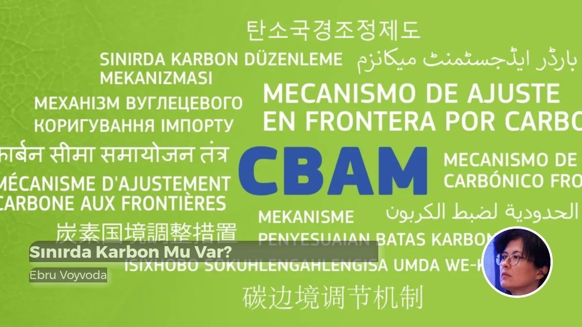 Katman Portal tweet media